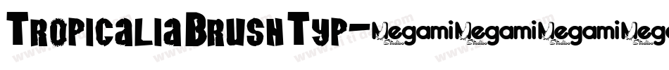 Tropicalia Brush Typ字体转换